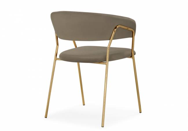 Kamelia 1 cappuccino / gold