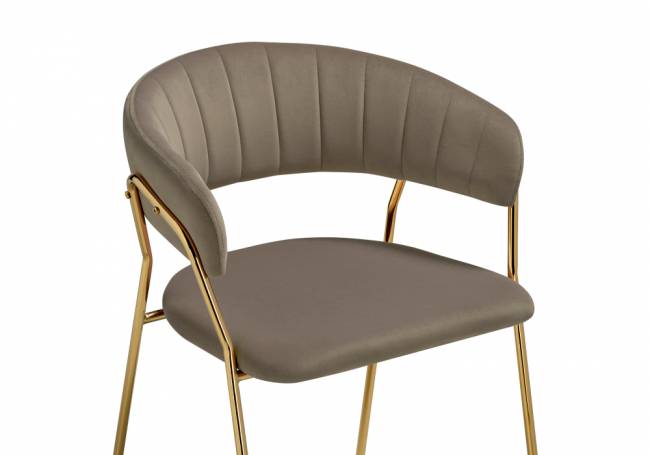 Kamelia 1 cappuccino / gold