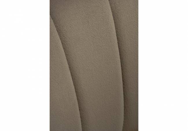 Kamelia 1 cappuccino / gold