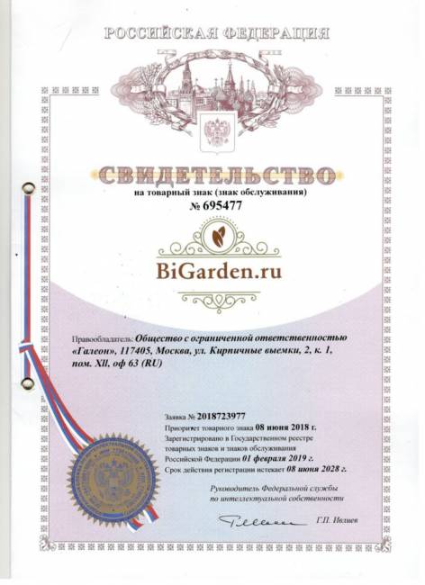 Кресло подвесное "Easy BS" синяя подушка Кресло подвесное "Easy BS" синяя подушка